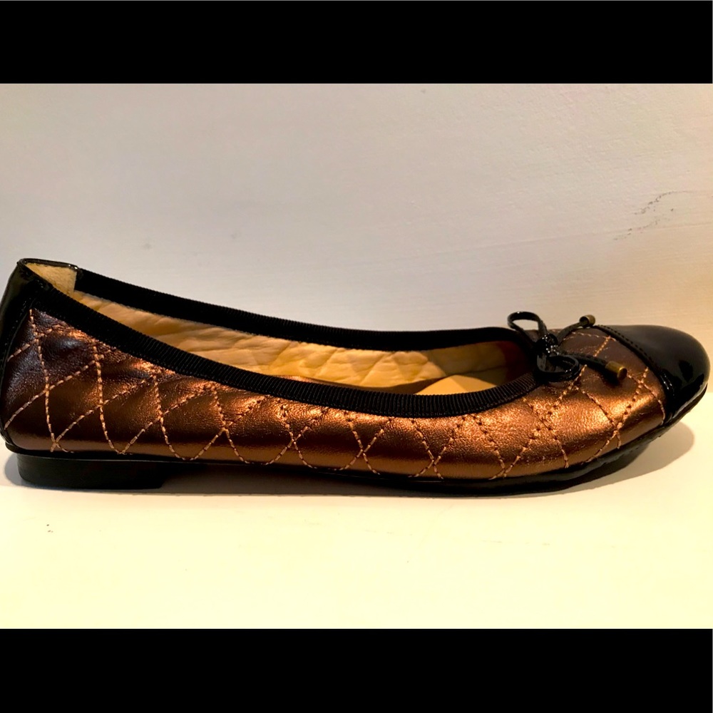 Arturochiang  flats size 6m